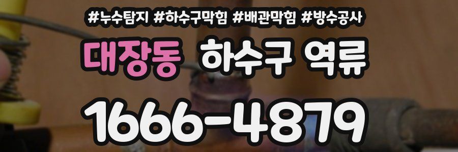 대장동 하수구 역류