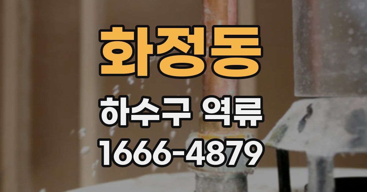 화정동 하수구 역류