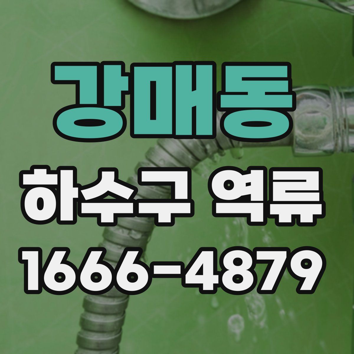 강매동 하수구 역류