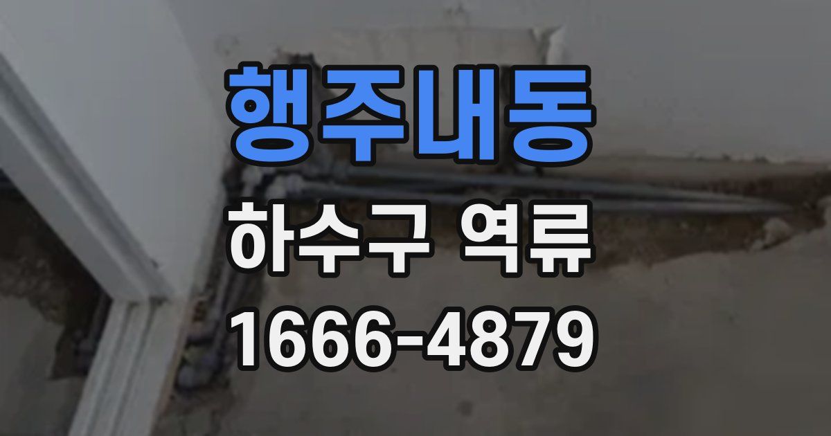 행주내동 하수구 역류