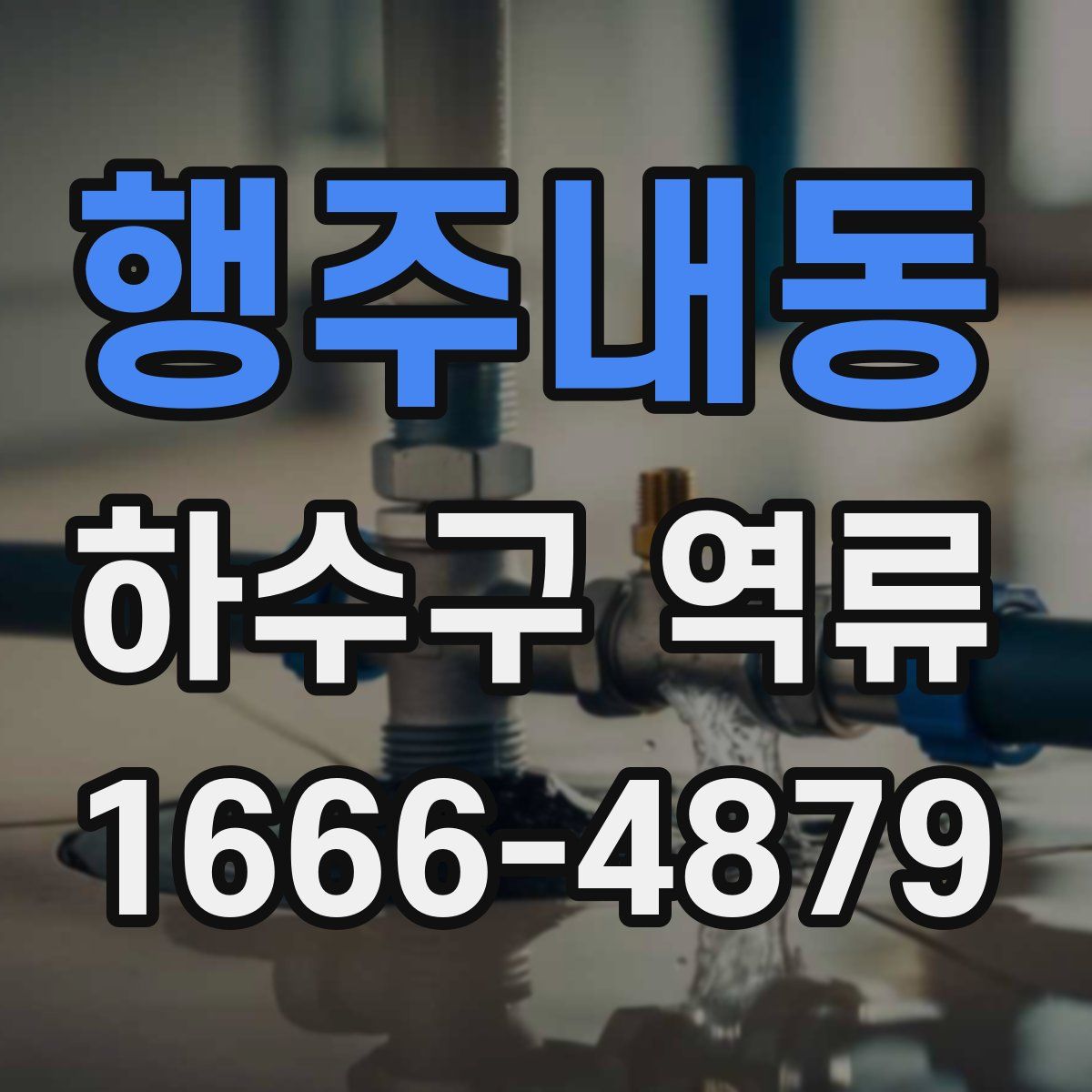 행주내동 하수구 역류