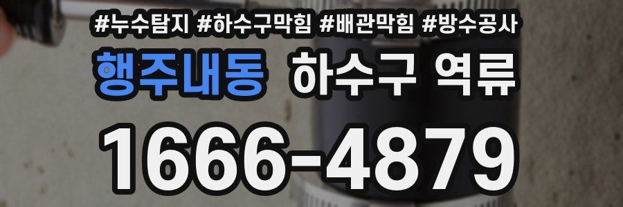 행주내동 하수구 역류