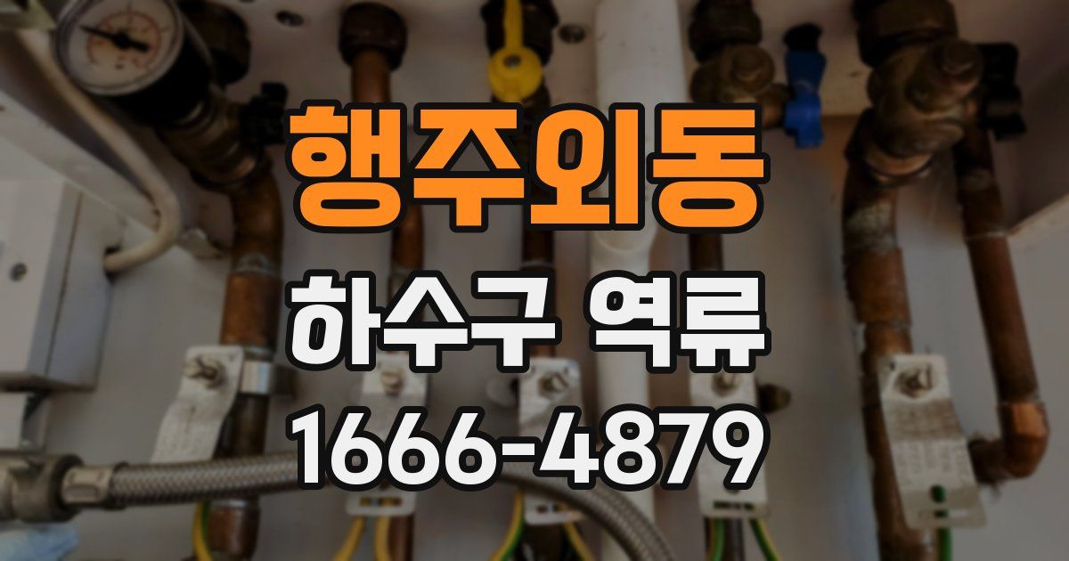 행주외동 하수구 역류
