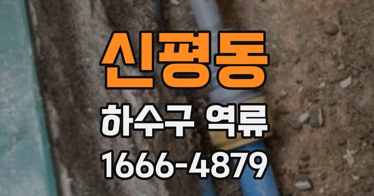 신평동 하수구 역류