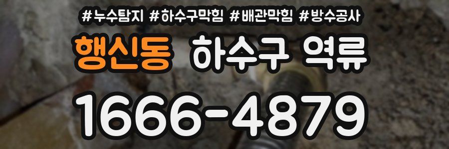 행신동 하수구 역류