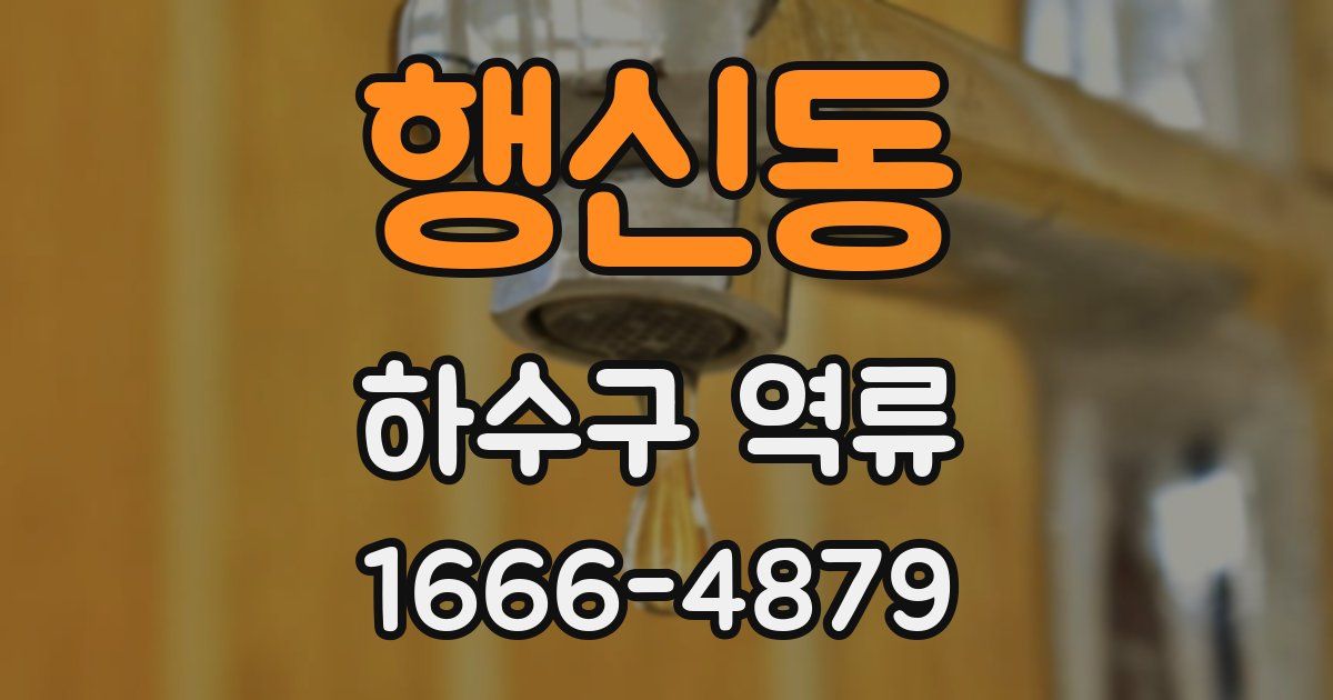 행신동 하수구 역류