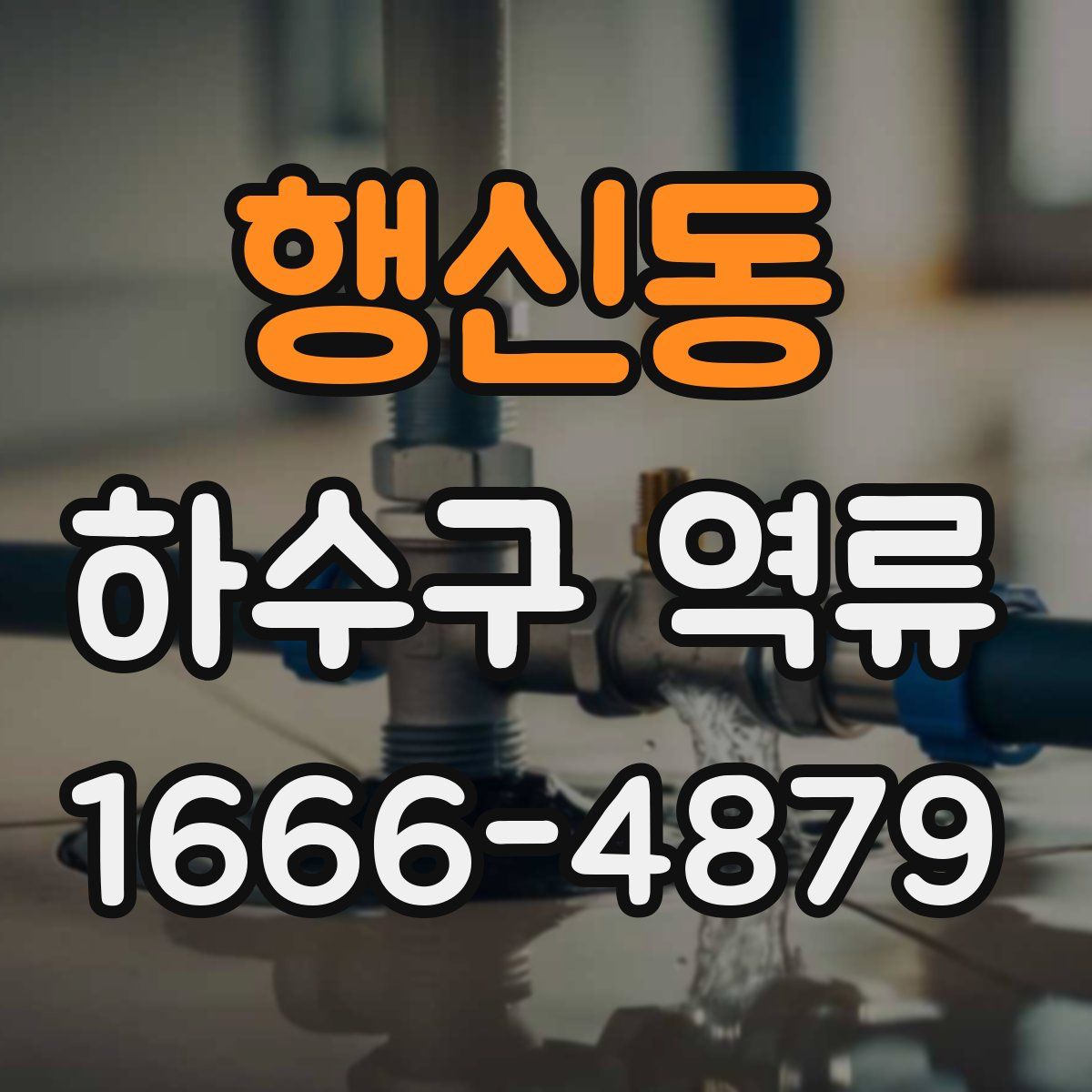 행신동 하수구 역류