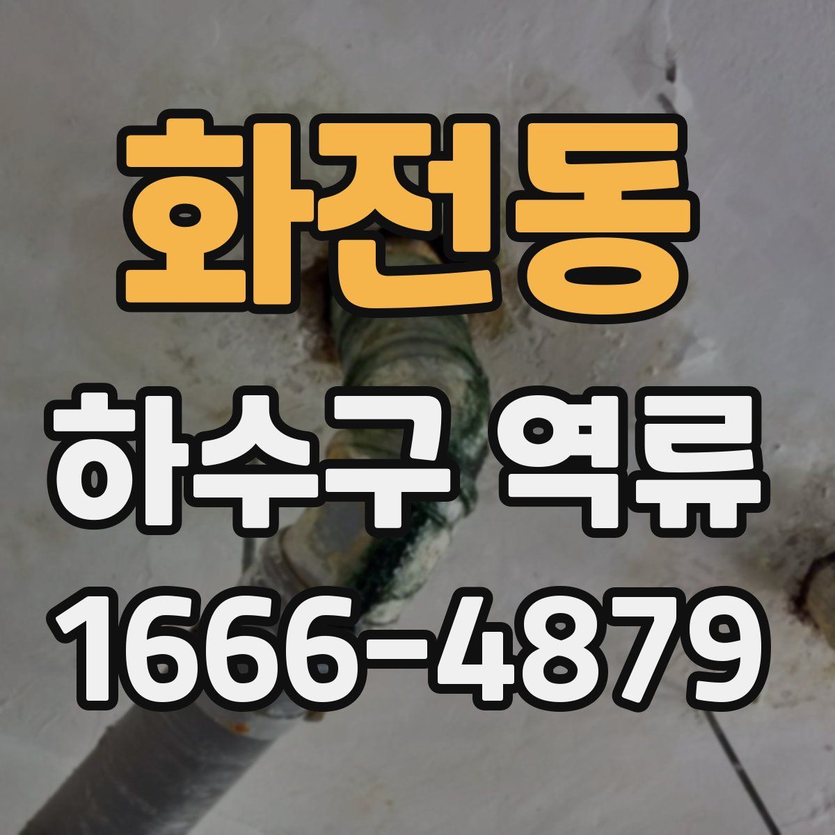 화전동 하수구 역류