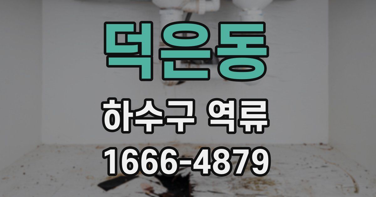 덕은동 하수구 역류