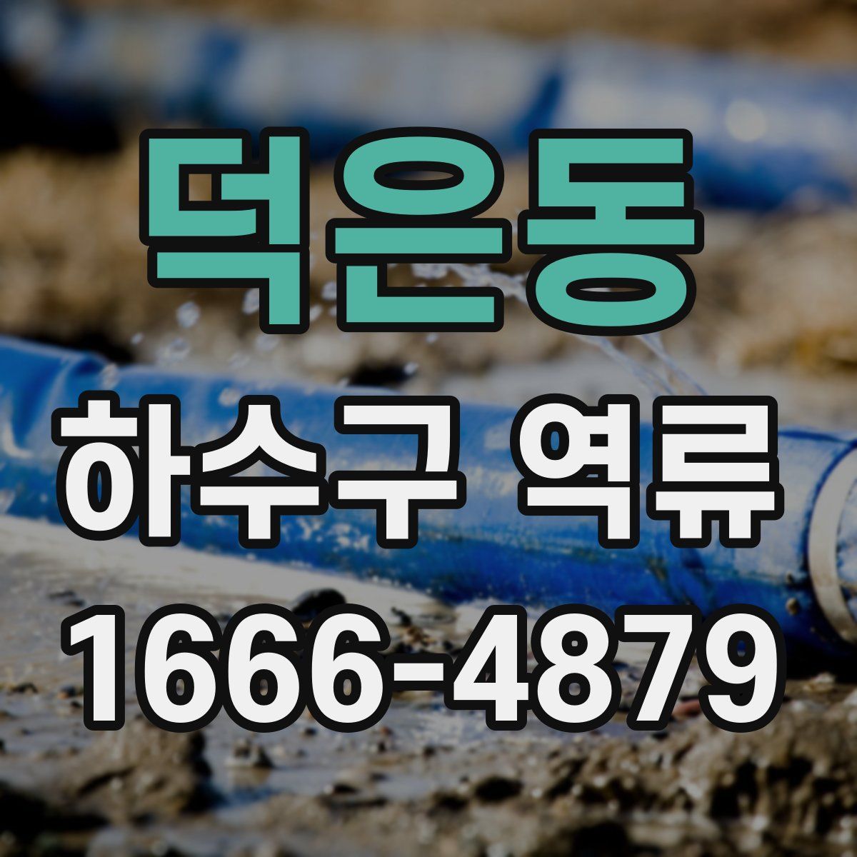 덕은동 하수구 역류