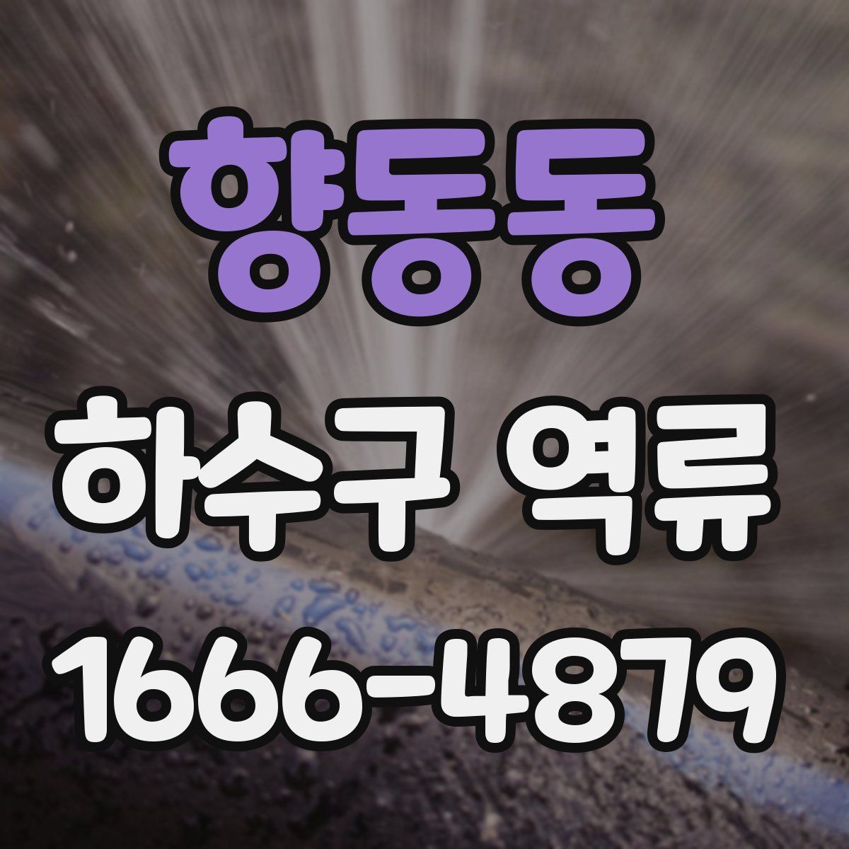 향동동 하수구 역류