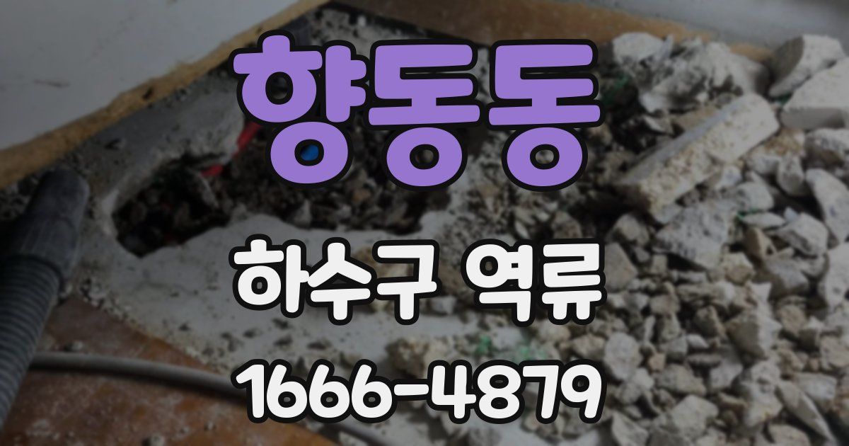 향동동 하수구 역류