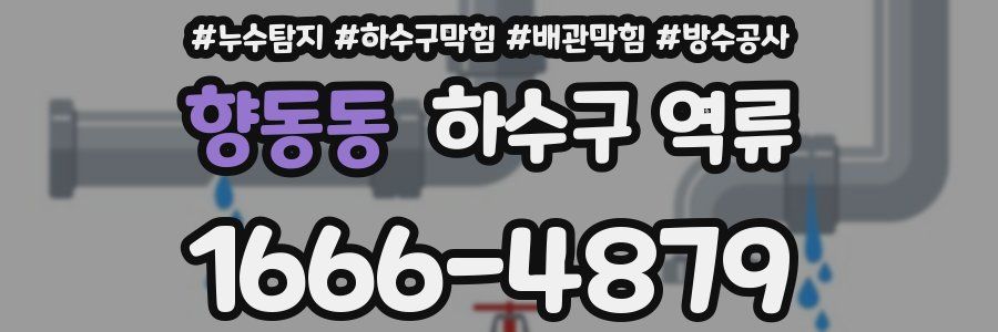 향동동 하수구 역류