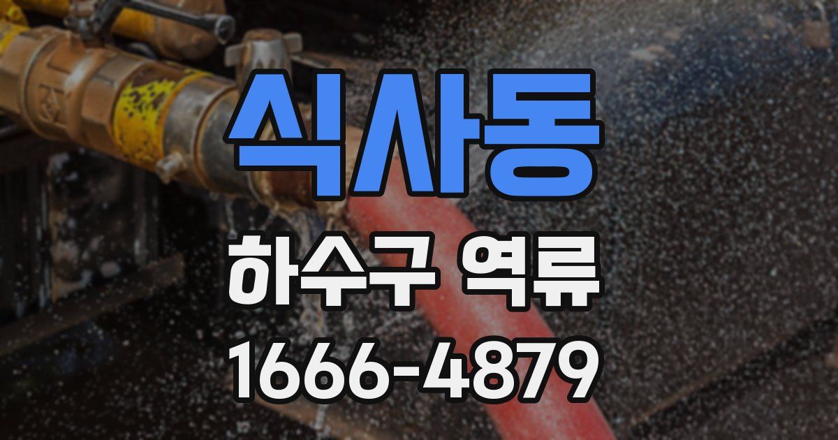 식사동 하수구 역류