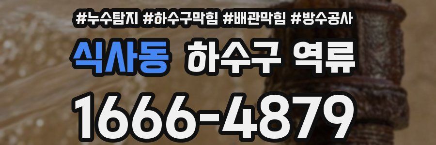식사동 하수구 역류