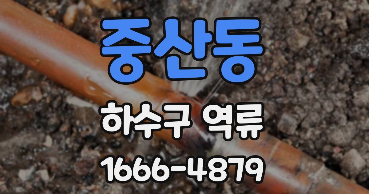 중산동 하수구 역류