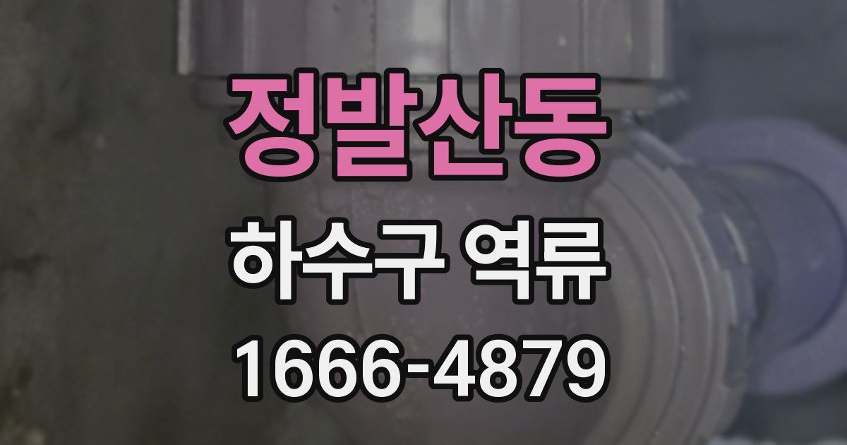 정발산동 하수구 역류