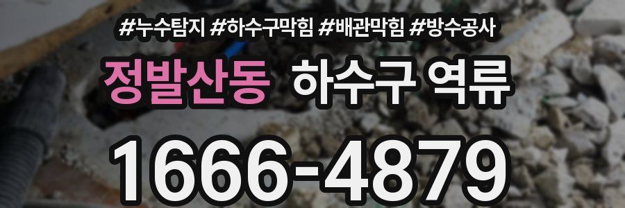 정발산동 하수구 역류