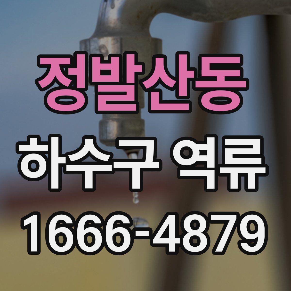 정발산동 하수구 역류