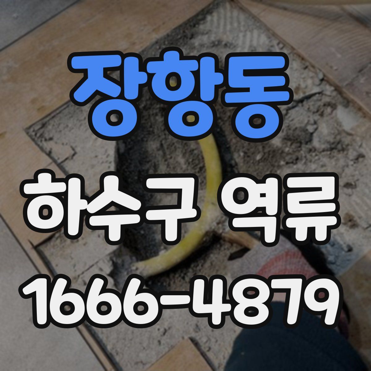 장항동 하수구 역류