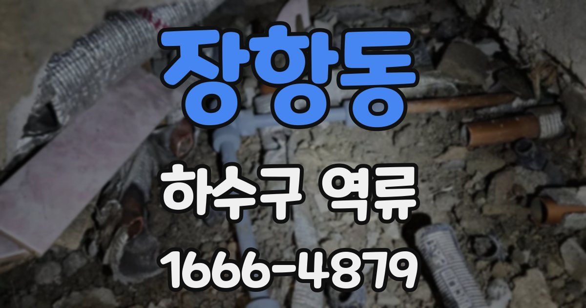 장항동 하수구 역류