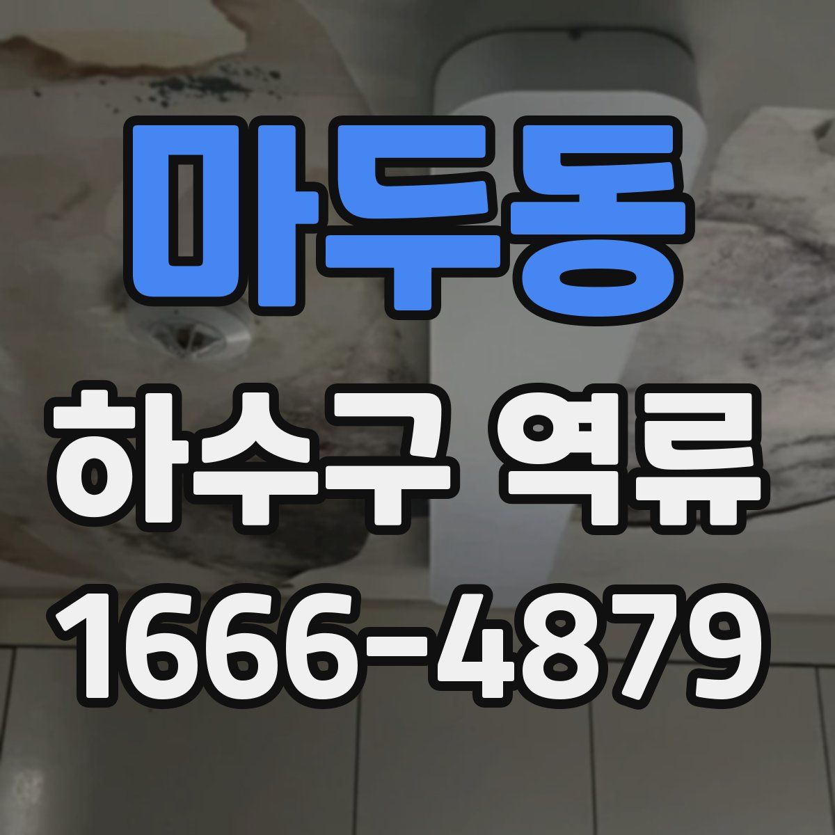 마두동 하수구 역류