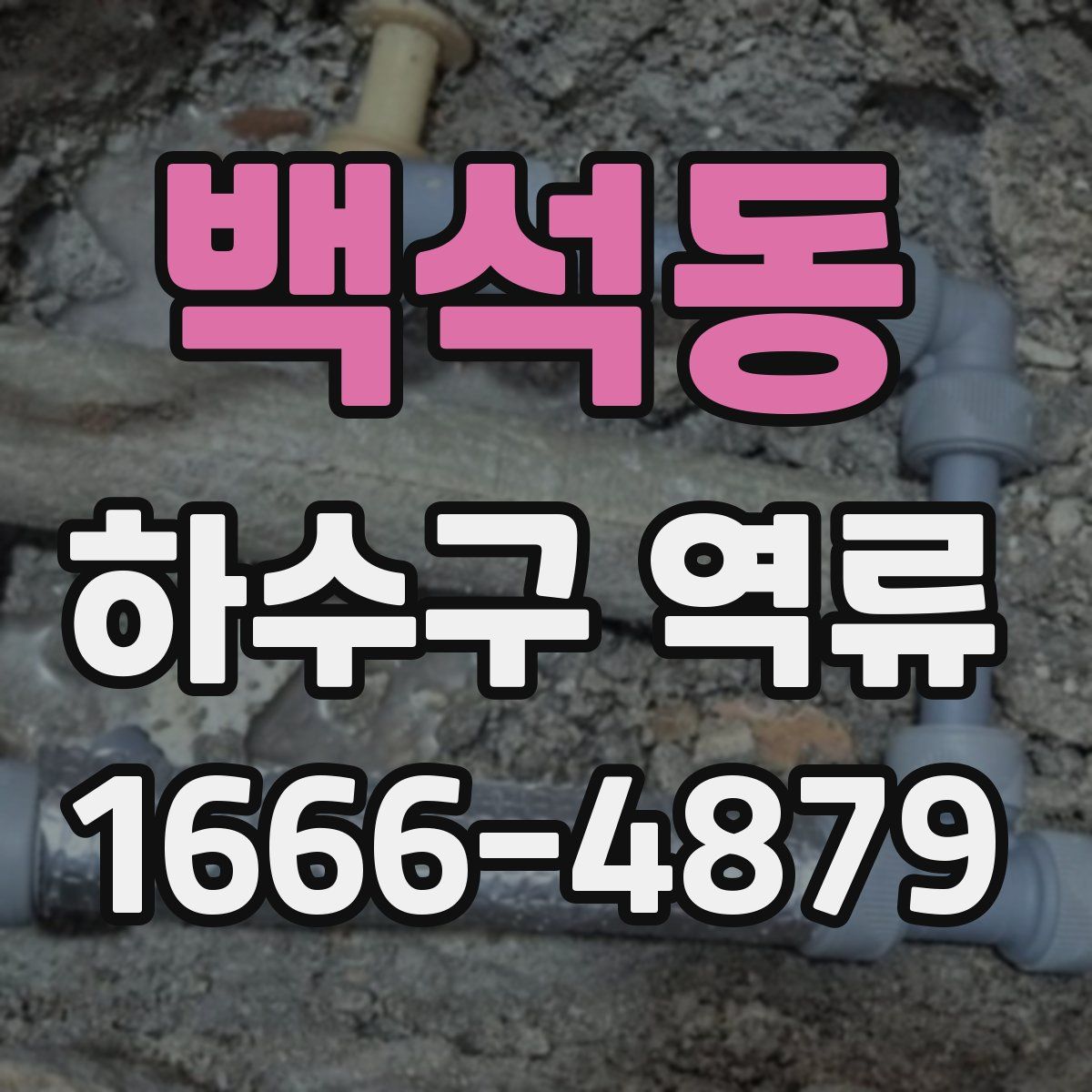 백석동 하수구 역류