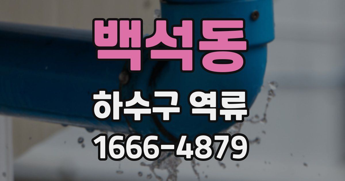 백석동 하수구 역류