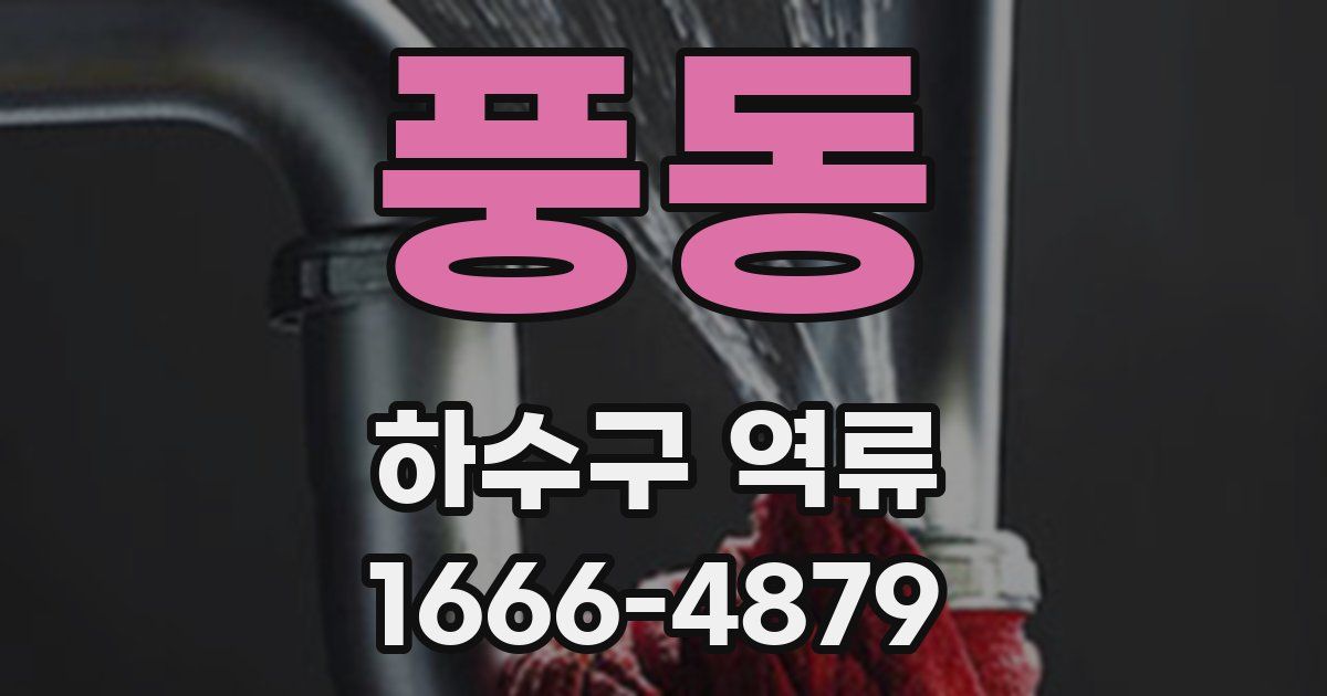 풍동 하수구 역류