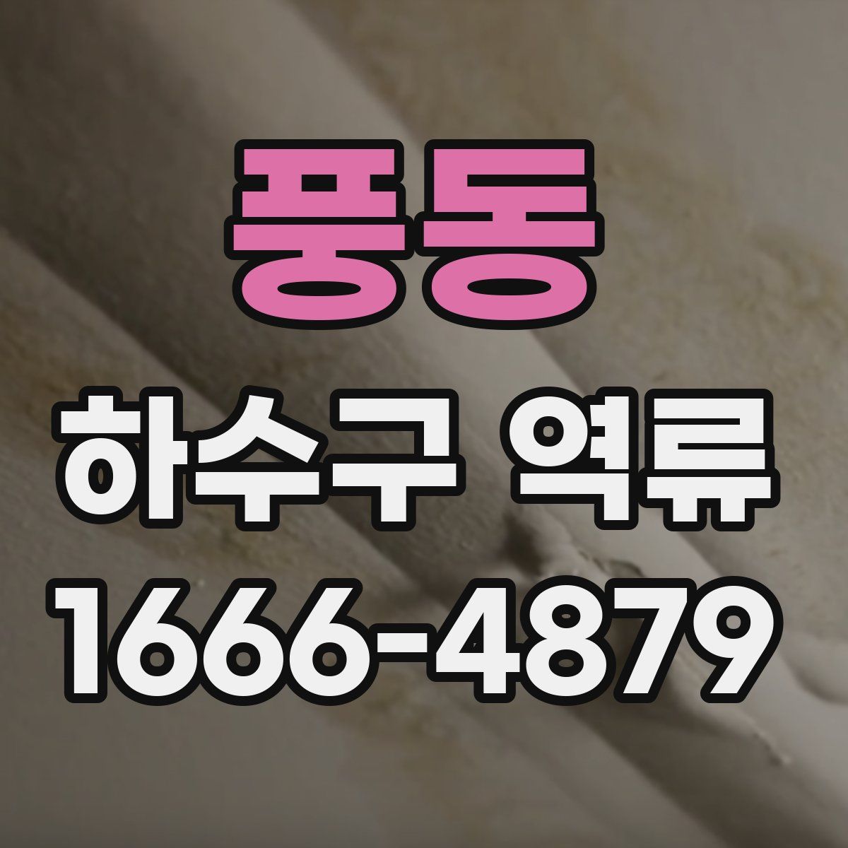 풍동 하수구 역류