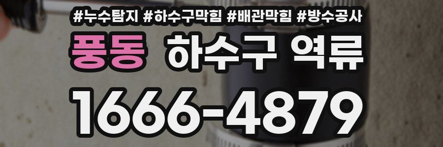 풍동 하수구 역류