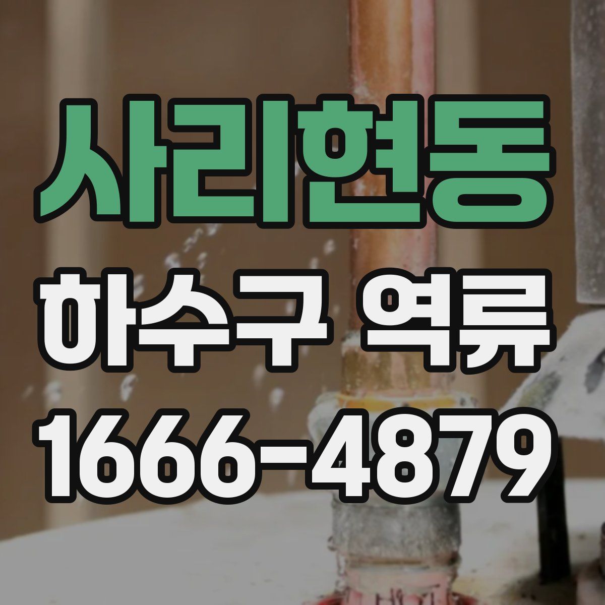 사리현동 하수구 역류