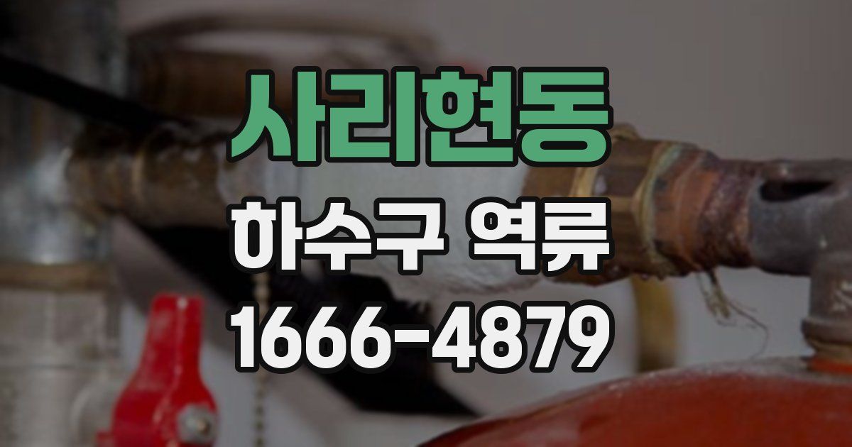 사리현동 하수구 역류