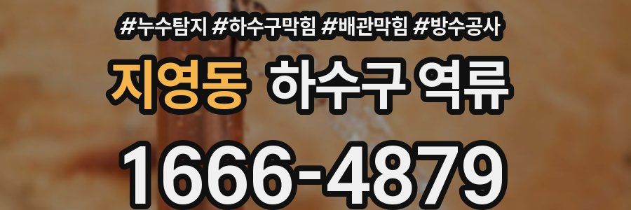 지영동 하수구 역류