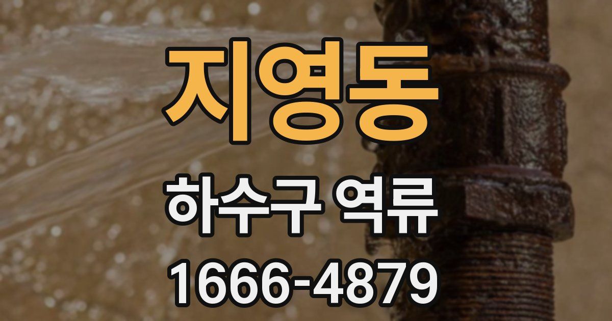 지영동 하수구 역류