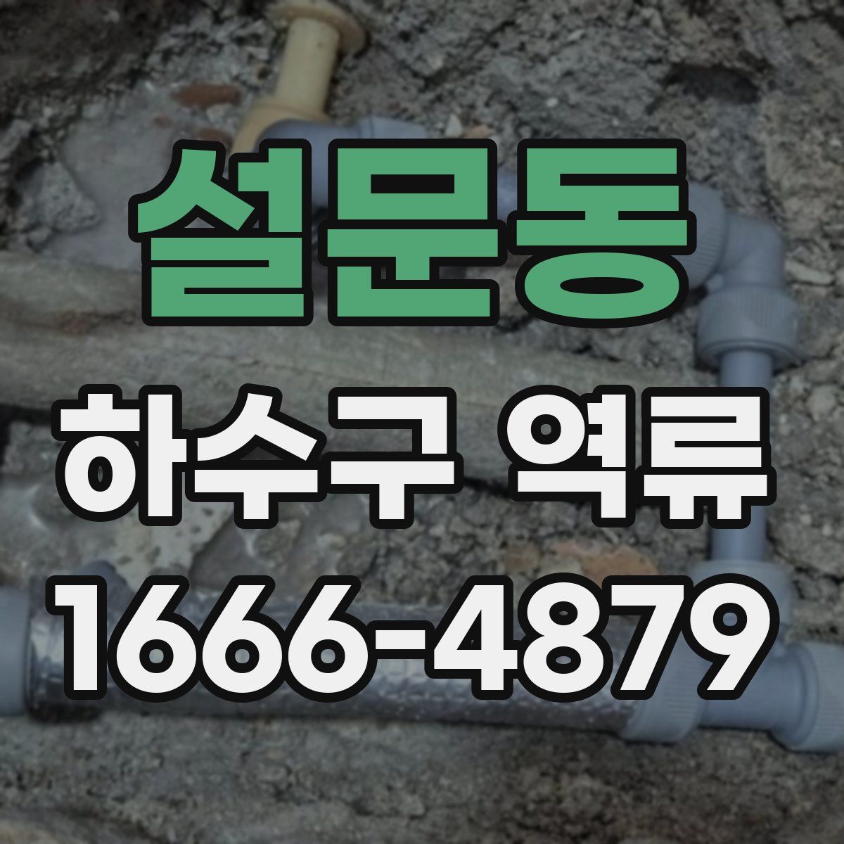 설문동 하수구 역류