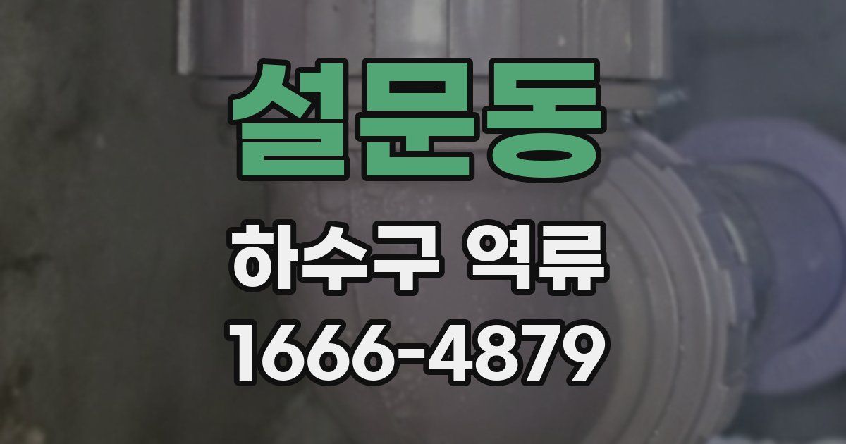 설문동 하수구 역류