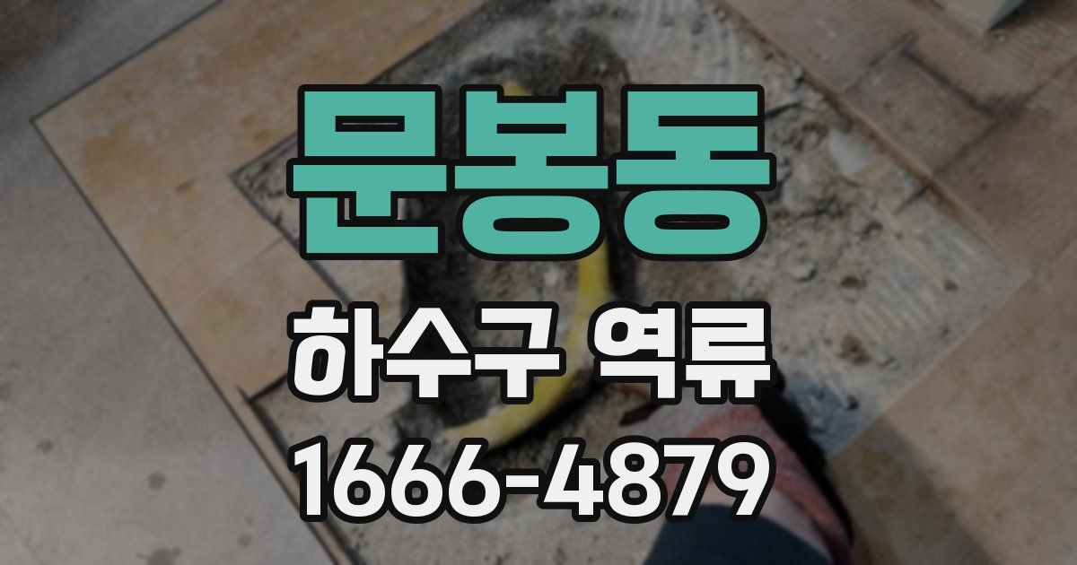 문봉동 하수구 역류