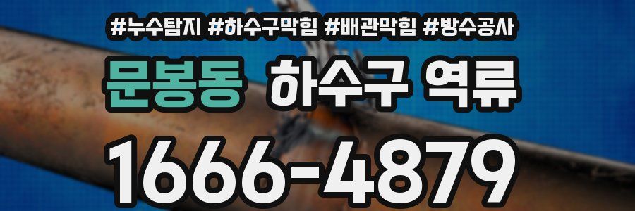 문봉동 하수구 역류