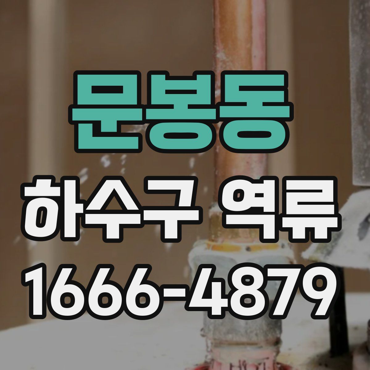 문봉동 하수구 역류