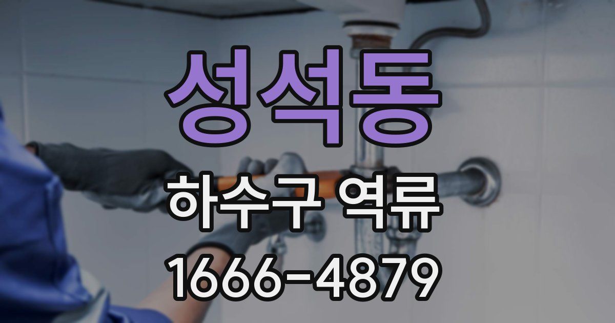 성석동 하수구 역류