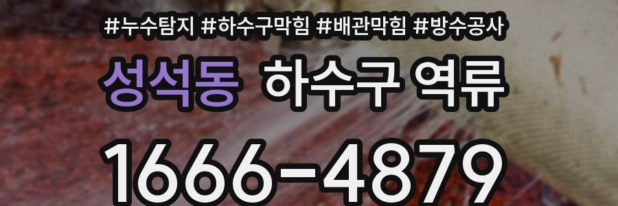 성석동 하수구 역류
