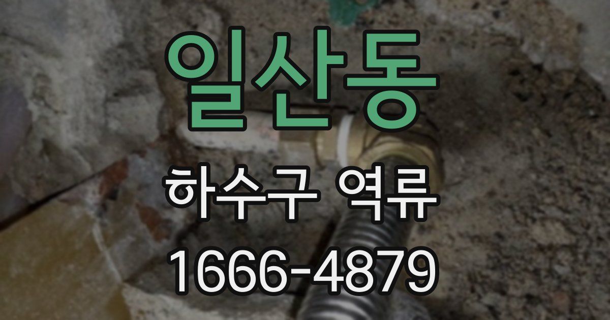 일산동 하수구 역류