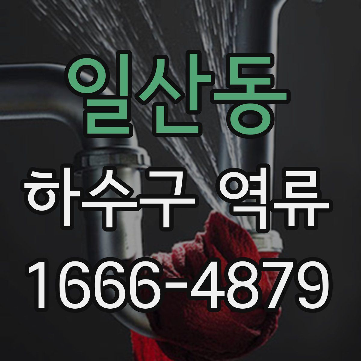 일산동 하수구 역류