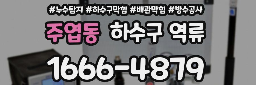 주엽동 하수구 역류