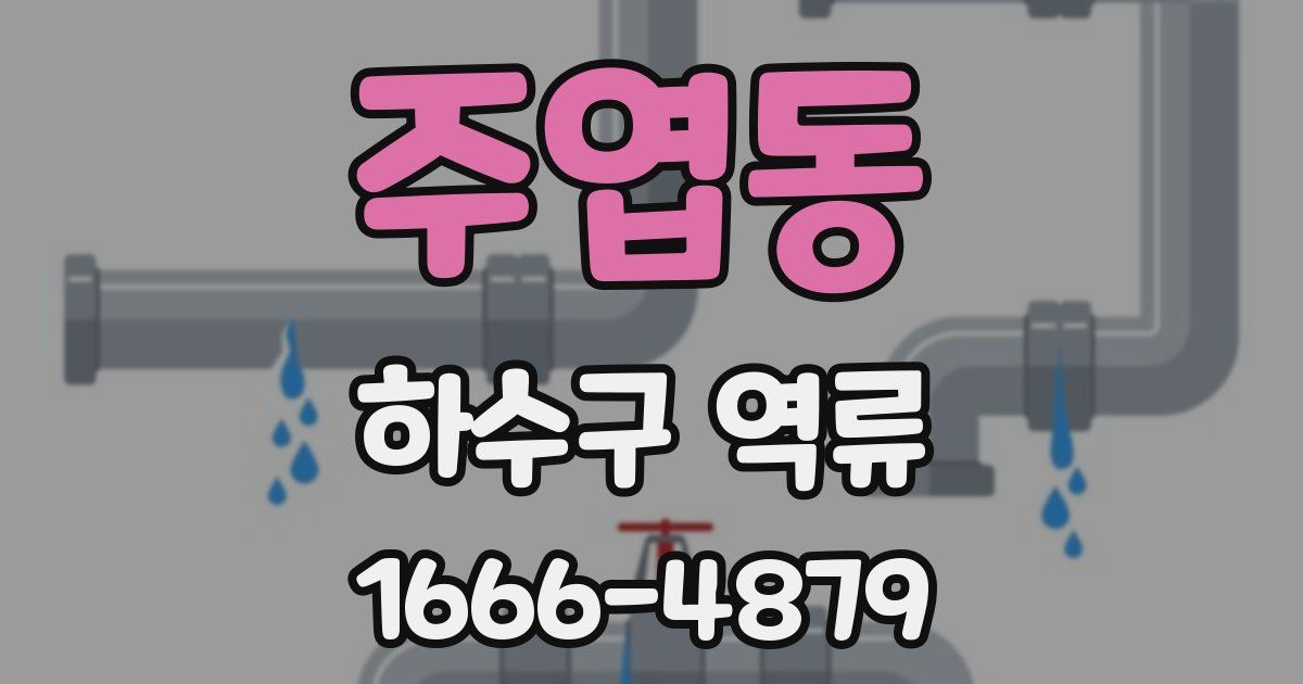 주엽동 하수구 역류