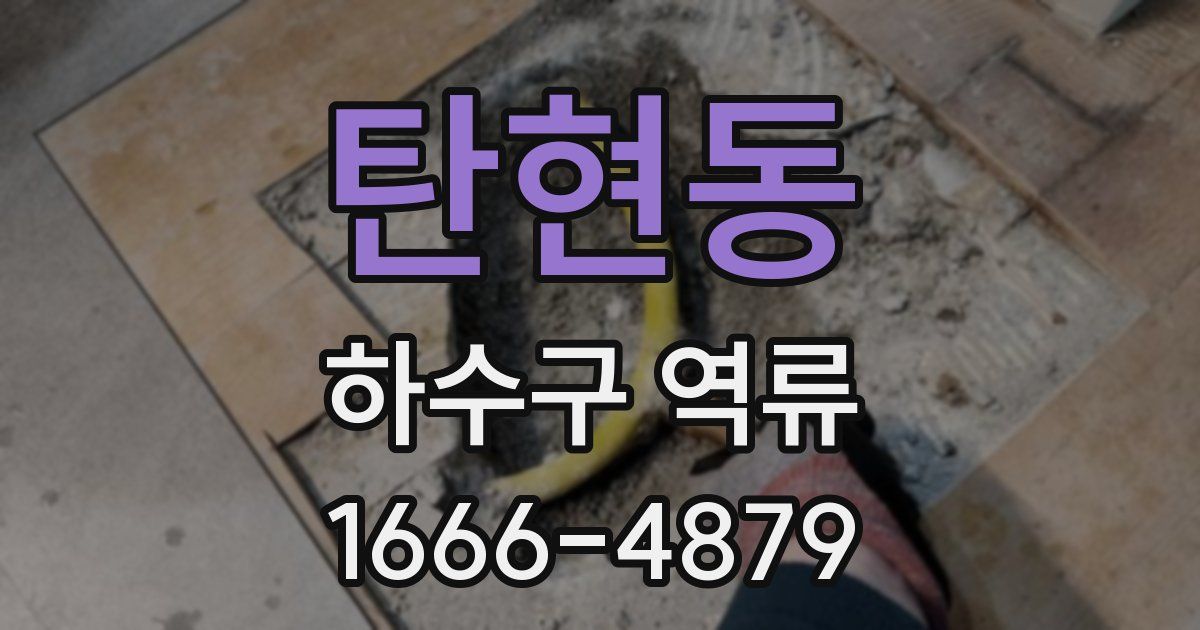 탄현동 하수구 역류