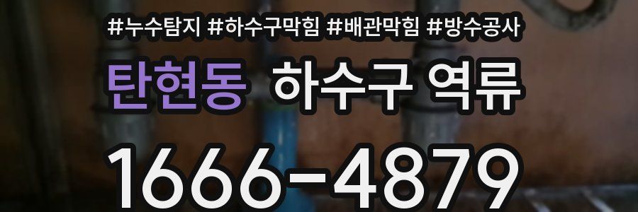 탄현동 하수구 역류