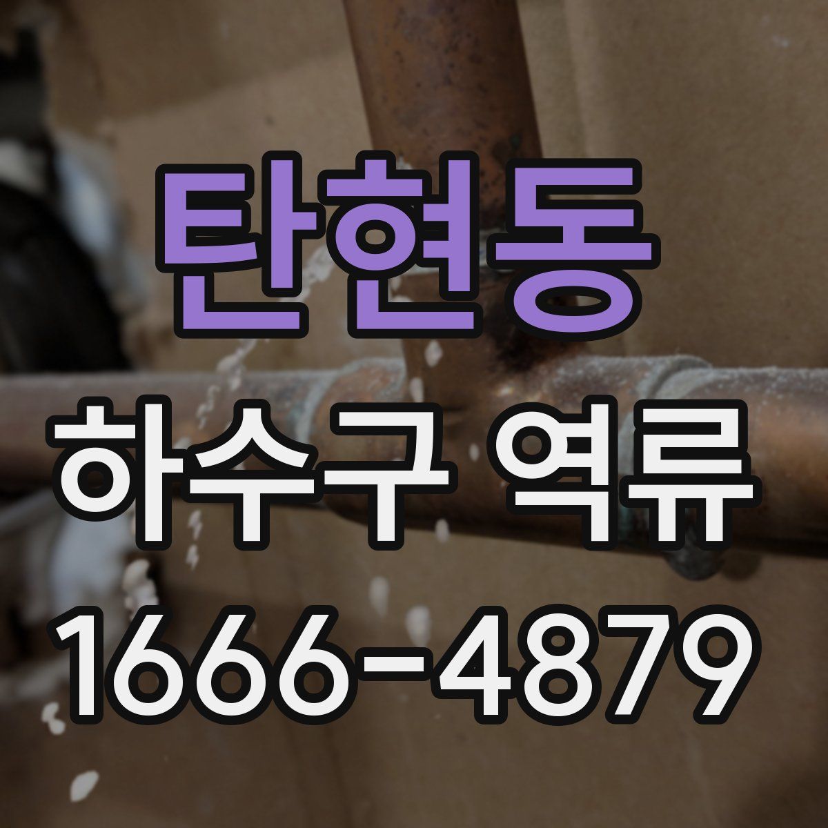 탄현동 하수구 역류