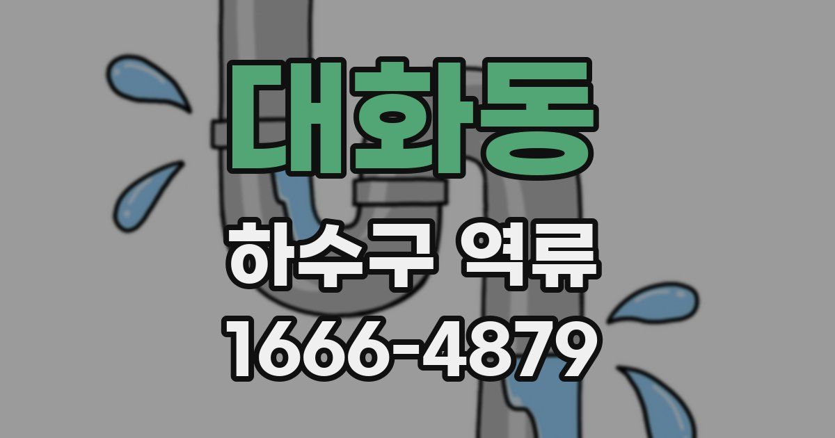 대화동 하수구 역류